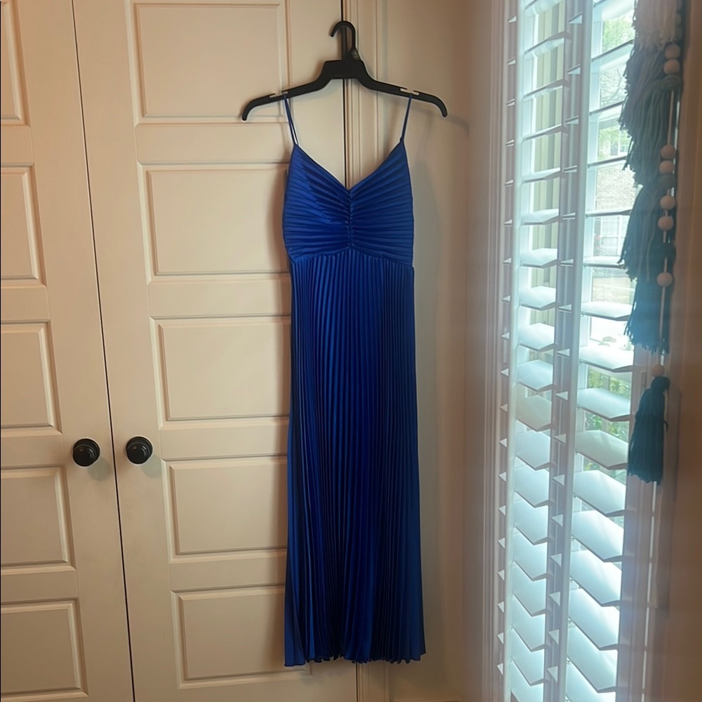 Petal and Pup Blue Pleated Dress